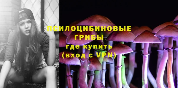 ECSTASY Волосово