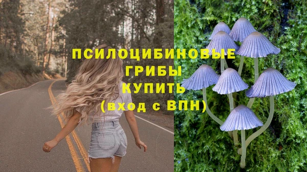 mdpv Волоколамск