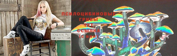прущая мука Володарск