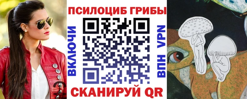 Купить закладки  Кстово  Псилоцибиновые грибы MAGIC MUSHROOMS 